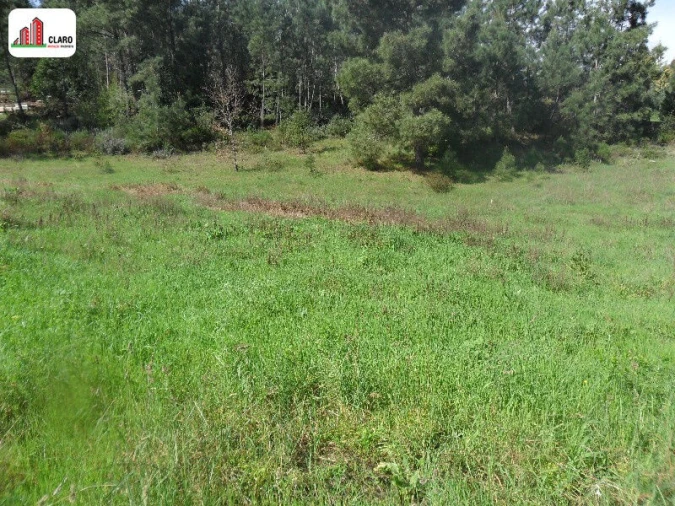 Terreno para Venda em São Martinho do Bispo e Ribeira de Frades Foto 2