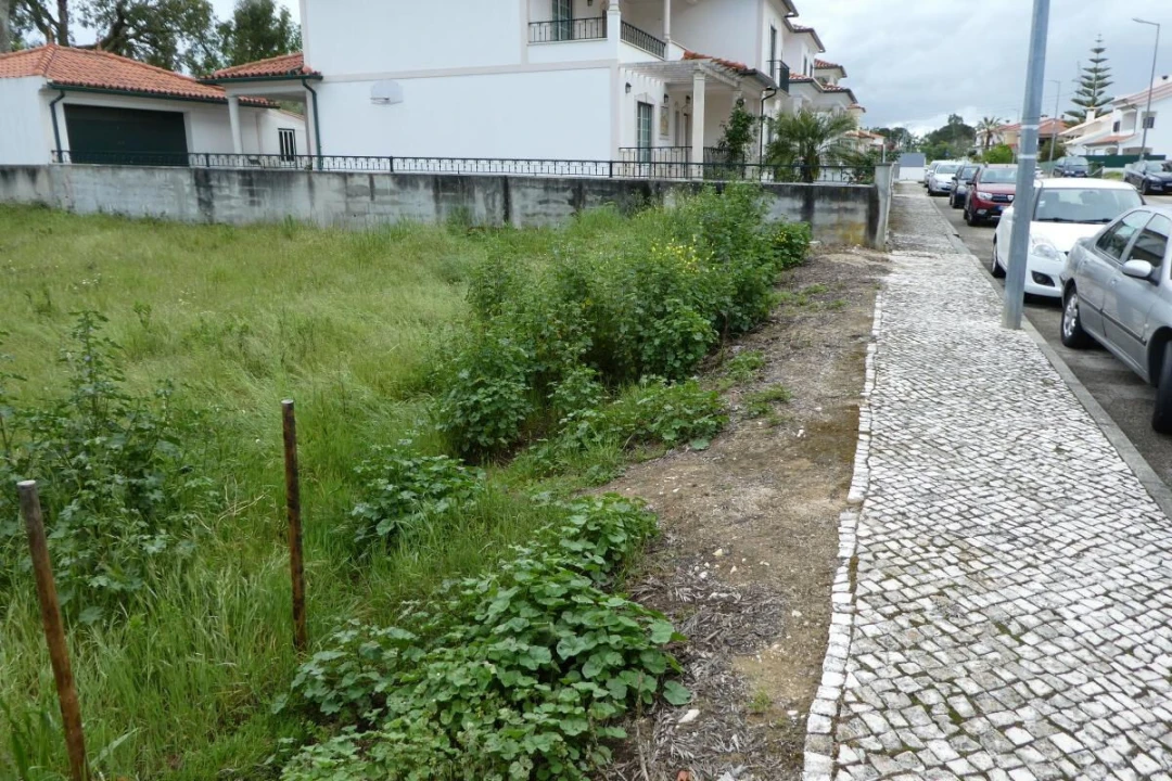 Terreno para Venda em Condeixa-A-Velha e Condeixa-A-Nova Foto 4