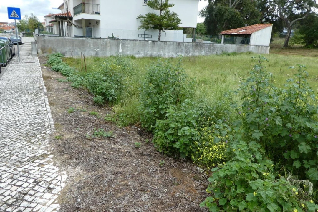 Terreno para Venda em Condeixa-A-Velha e Condeixa-A-Nova Foto 3