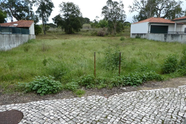 Terreno para Venda em Condeixa-A-Velha e Condeixa-A-Nova Foto 2