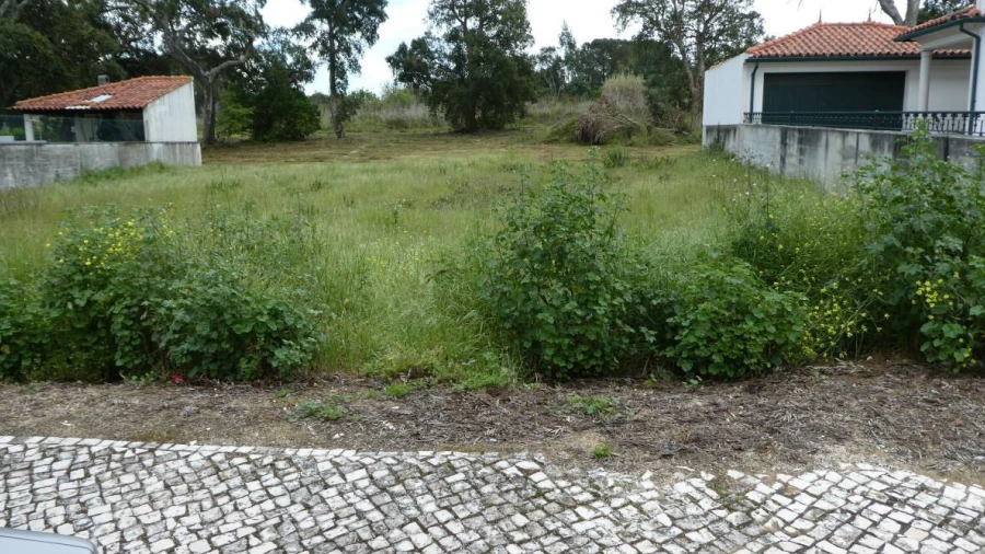 Terreno para Venda em Condeixa-A-Velha e Condeixa-A-Nova
