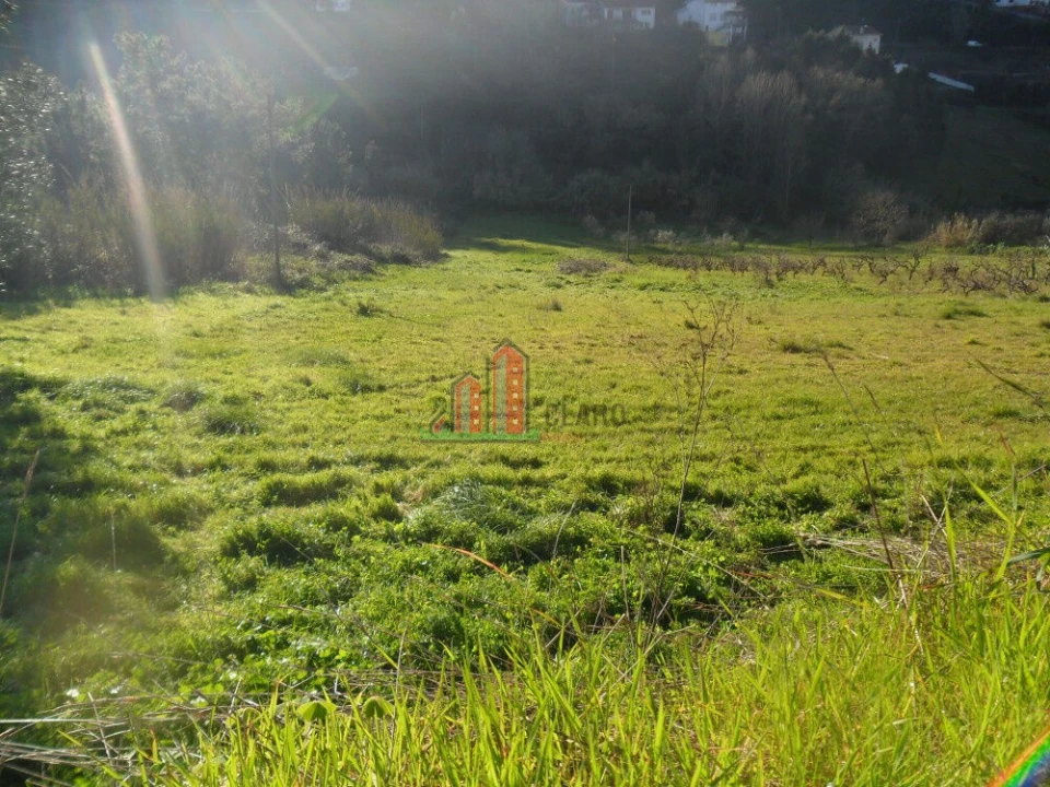 Terreno para Venda em Santa Clara e Castelo Viegas Foto 3