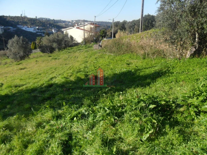 Terreno para Venda em Santa Clara e Castelo Viegas Foto 1