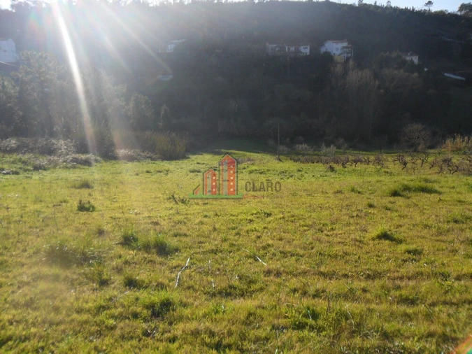 Terreno para Venda em Santa Clara e Castelo Viegas Foto 6