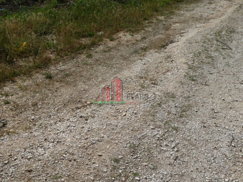 Terreno para Venda em São Martinho do Bispo e Ribeira de Frades Foto 4