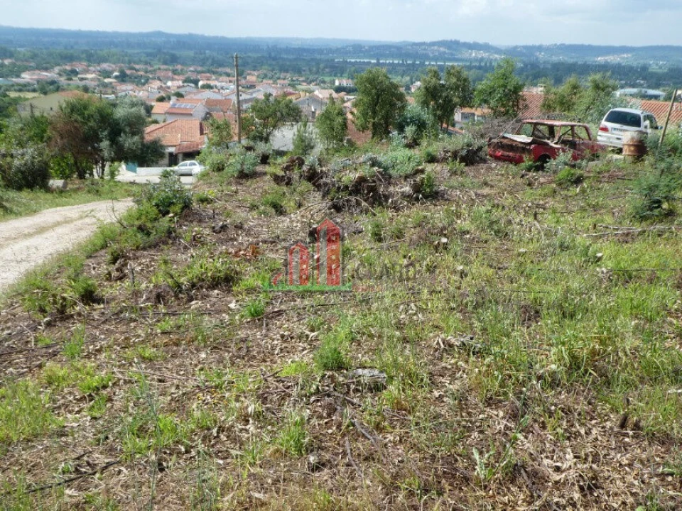 Terreno para Venda em São Martinho do Bispo e Ribeira de Frades Foto 2