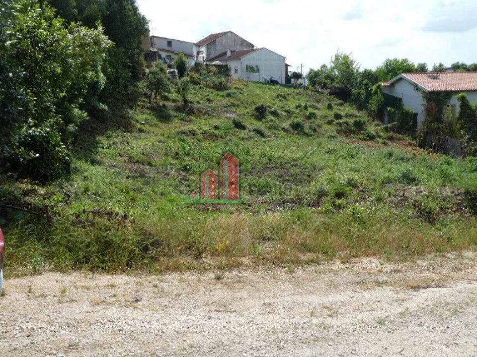 Terreno para Venda em São Martinho do Bispo e Ribeira de Frades Foto 3