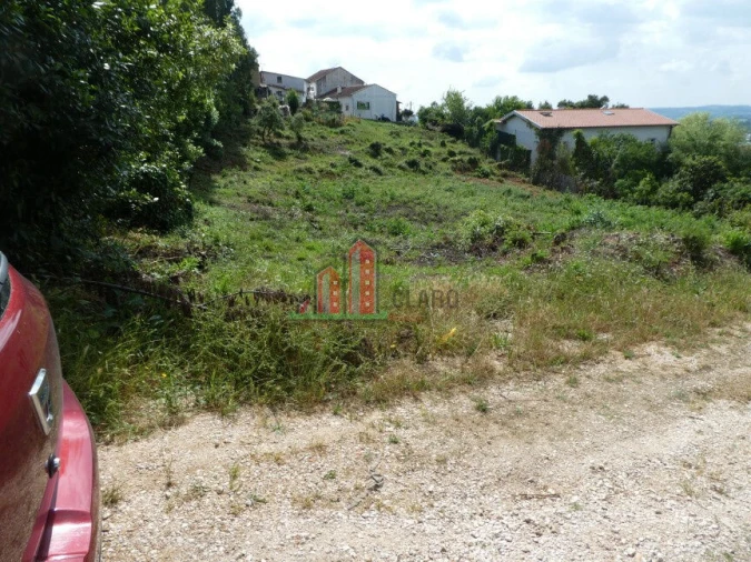 Terreno para Venda em São Martinho do Bispo e Ribeira de Frades Foto 5