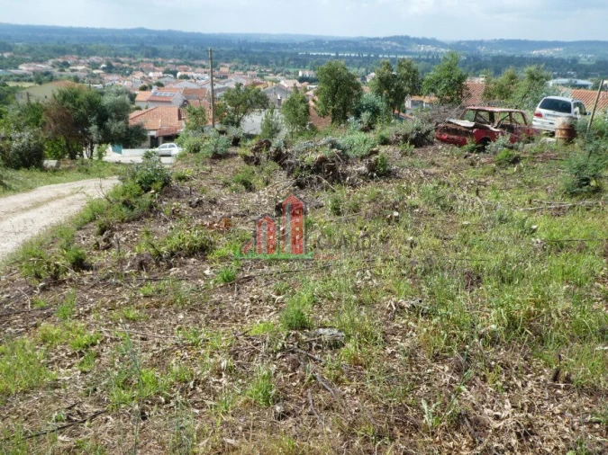 Terreno para Venda em São Martinho do Bispo e Ribeira de Frades Foto 2
