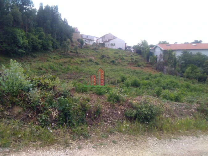Terreno para Venda em São Martinho do Bispo e Ribeira de Frades Foto 6