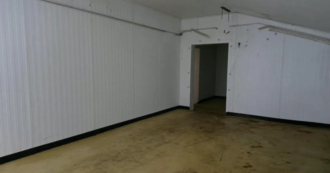 Armazém para Venda em Trancoso (São Pedro e Santa Maria) e Souto Maior Foto 11