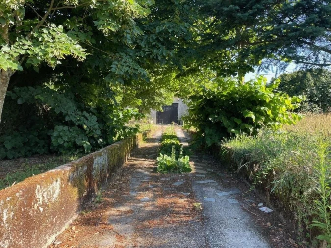 Prédio para Venda em Mangualde, Mesquitela e Cunha Alta Foto 2