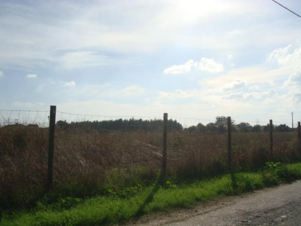 Terreno para Venda em Montijo e Afonsoeiro Foto 5