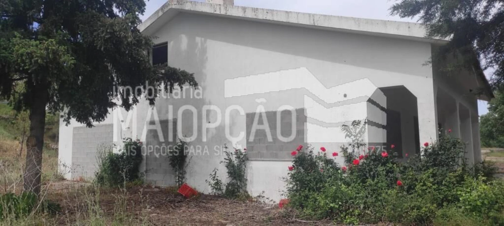 Quinta T0 para Venda em Trancoso (São Pedro e Santa Maria) e Souto Maior Foto 2