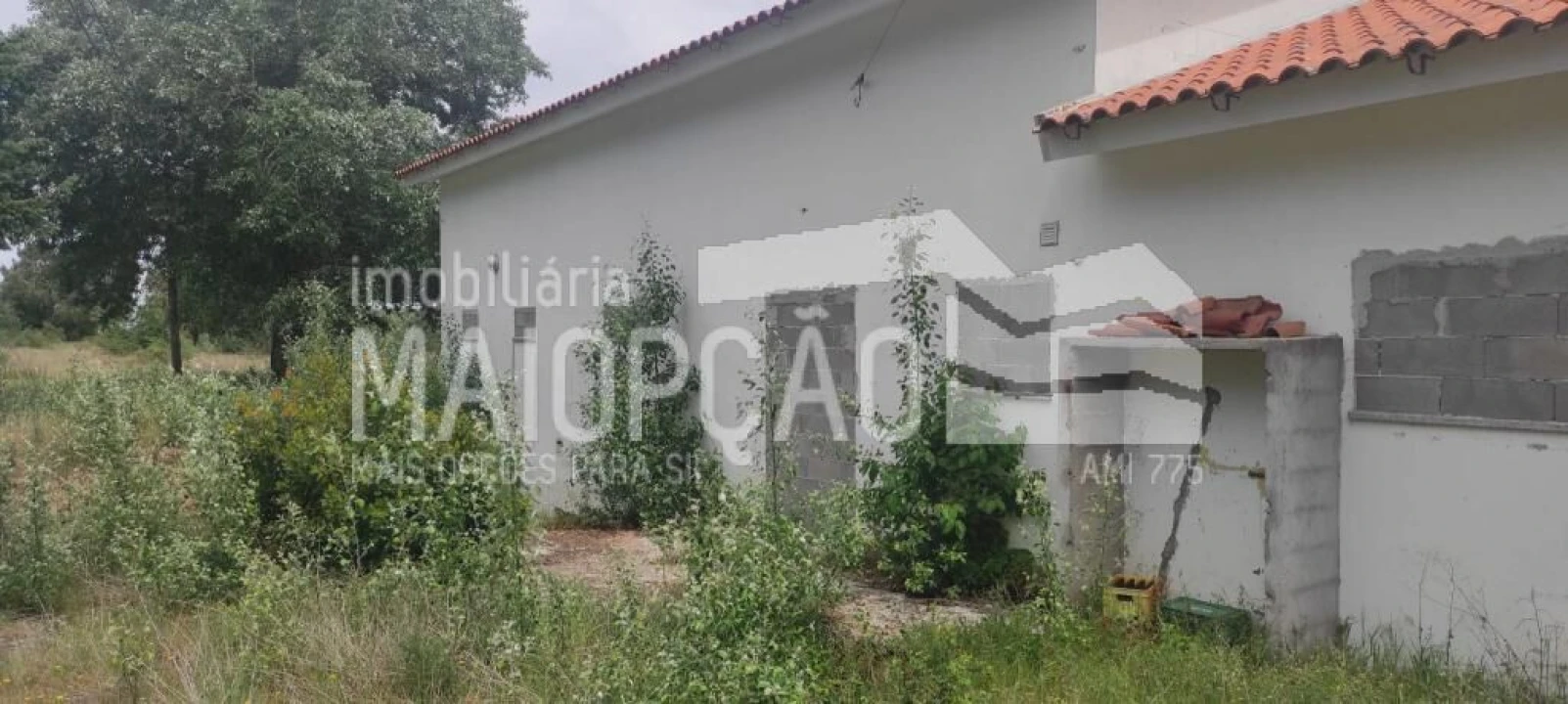 Quinta T0 para Venda em Trancoso (São Pedro e Santa Maria) e Souto Maior Foto 4