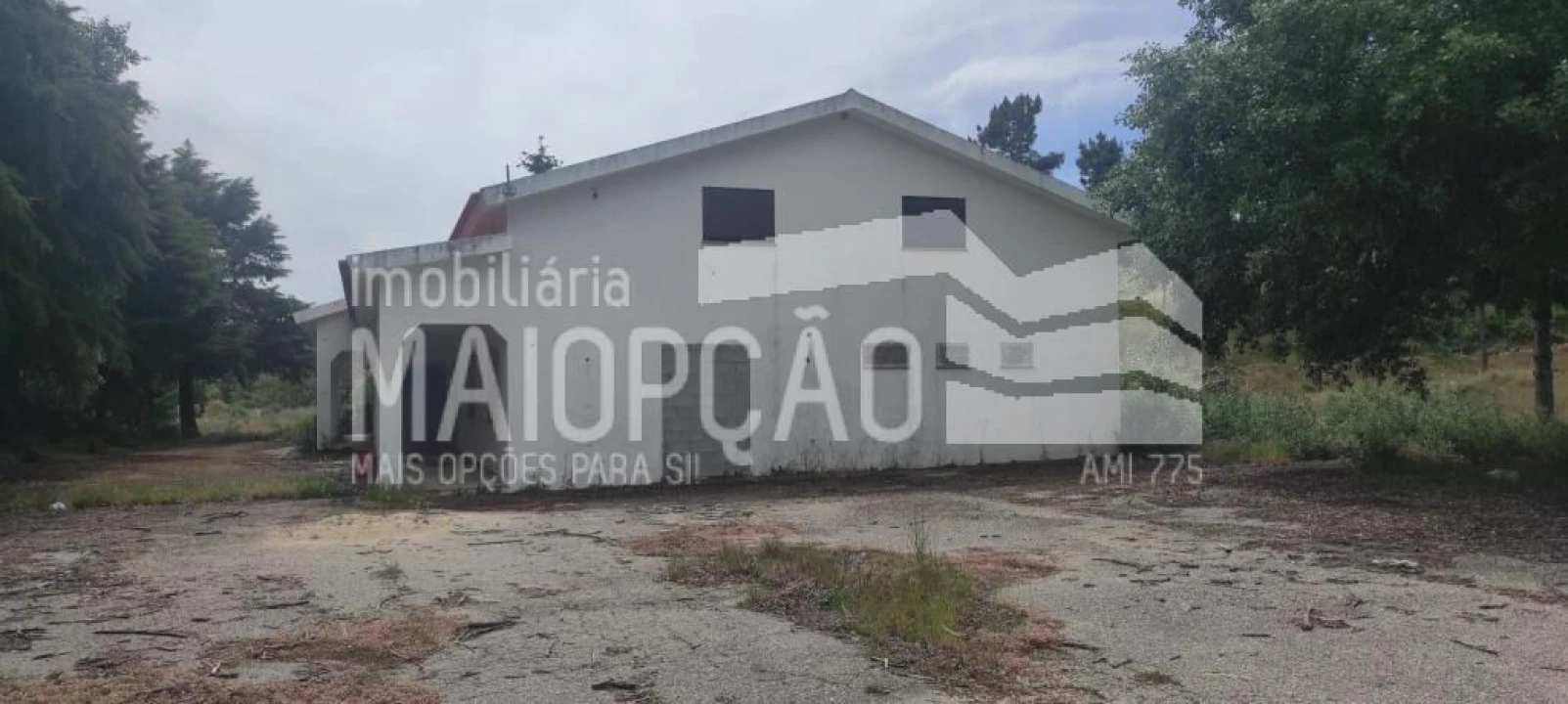 Quinta T0 para Venda em Trancoso (São Pedro e Santa Maria) e Souto Maior Foto 6