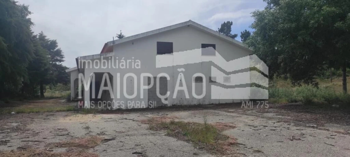 Quinta T0 para Venda em Trancoso (São Pedro e Santa Maria) e Souto Maior Foto 6