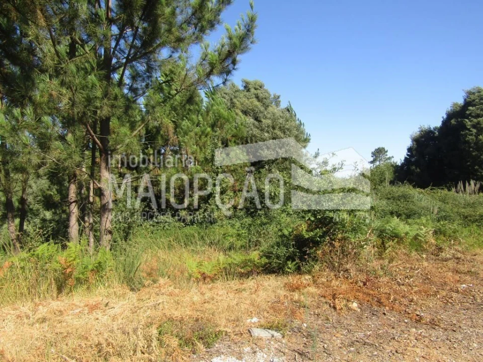 Terreno para Venda em Sandim, Olival, Lever e Crestuma Foto 3