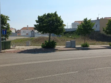 Terreno para Venda em Achete, Azoia de Baixo e Póvoa de Santarém