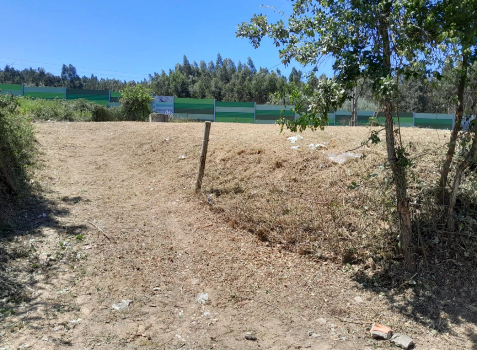Terreno para Venda em São Martinho do Bispo e Ribeira de Frades Foto 2