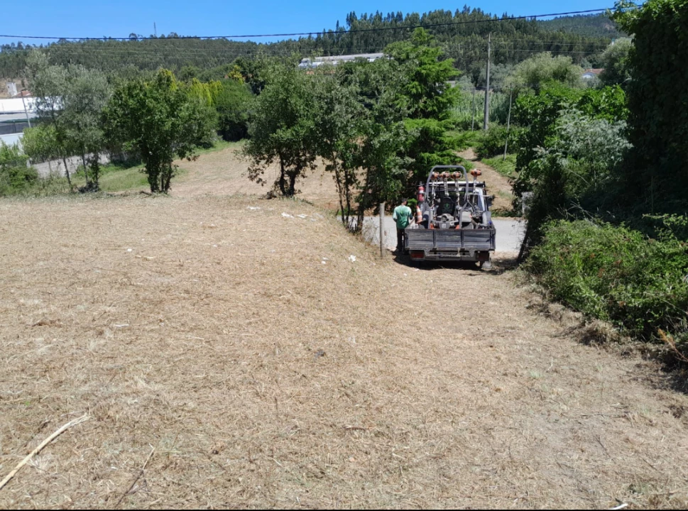 Terreno para Venda em São Martinho do Bispo e Ribeira de Frades Foto 3