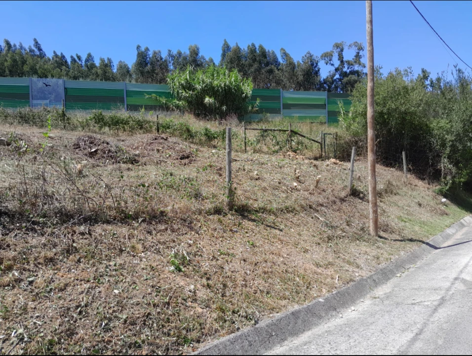 Terreno para Venda em São Martinho do Bispo e Ribeira de Frades Foto 4