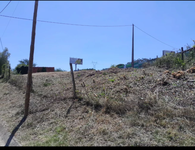 Terreno para Venda em São Martinho do Bispo e Ribeira de Frades Foto 5