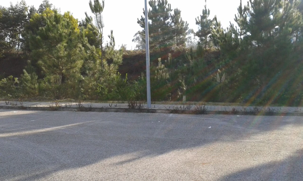 Terreno para Venda em Águeda e Borralha Foto 3