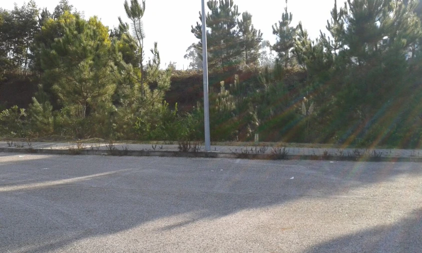 Terreno para Venda em Águeda e Borralha Foto 3