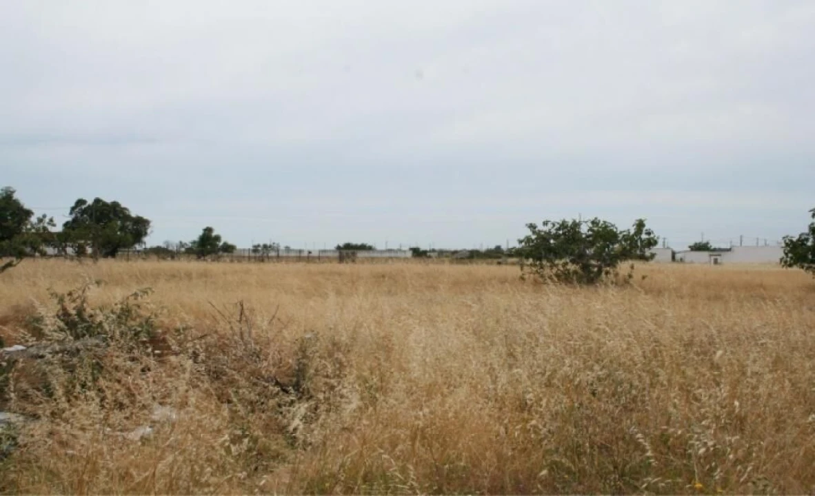 Terreno para Venda em Montijo e Afonsoeiro Foto 1
