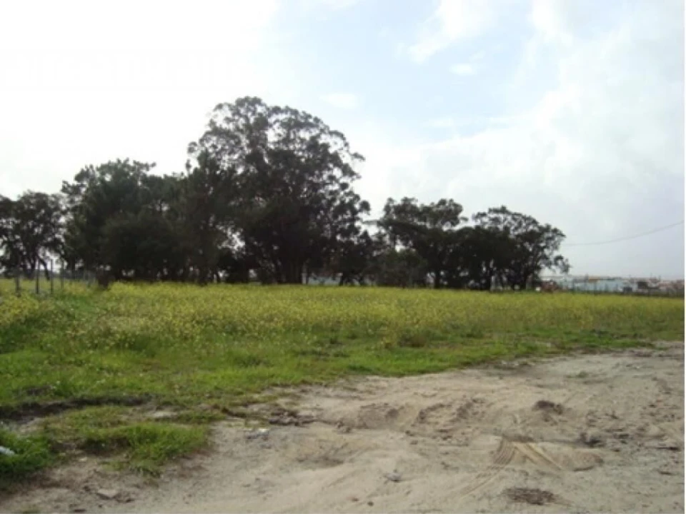 Terreno para Venda em Montijo e Afonsoeiro Foto 3