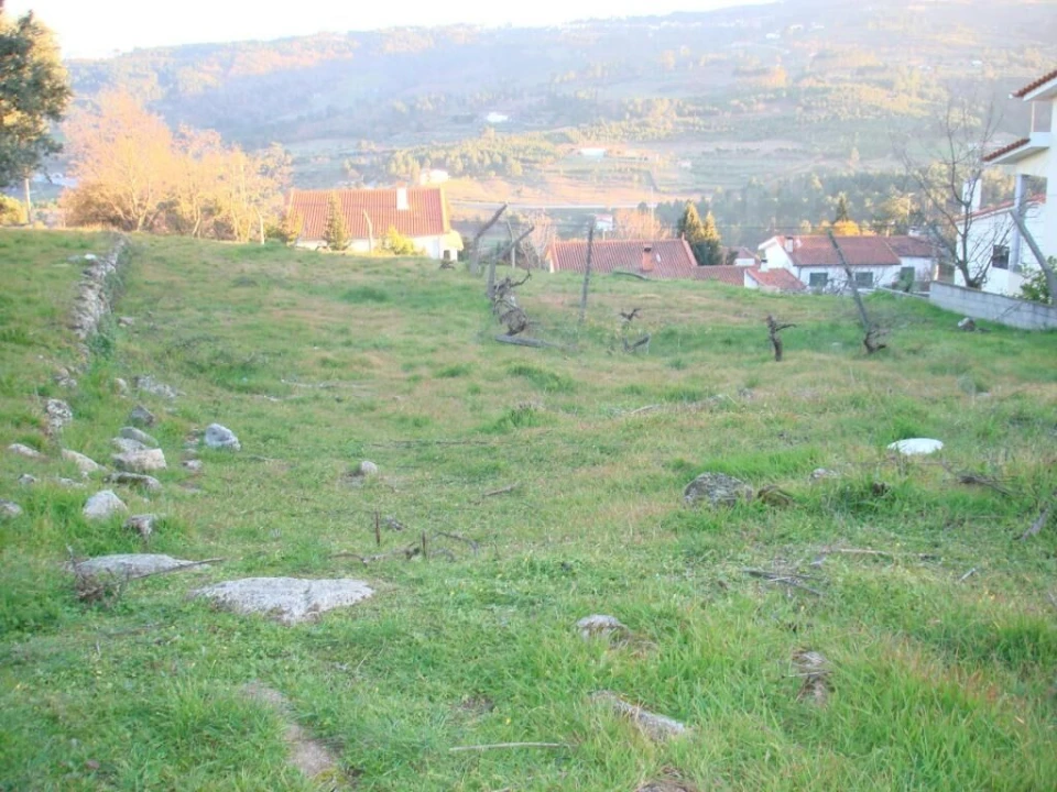 Terreno para Venda em São Pedro e Santa Maria e Vila Boa do Mondego Foto 2