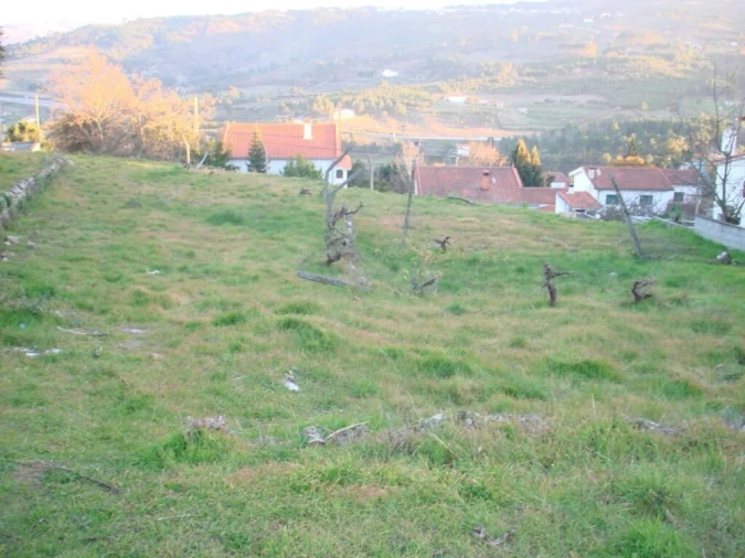 Terreno para Venda em São Pedro e Santa Maria e Vila Boa do Mondego Foto 4