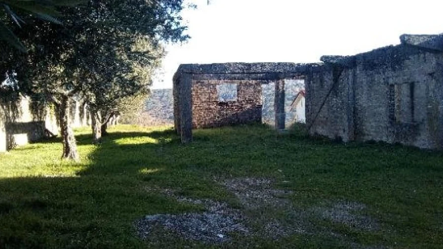 Terreno para Venda em São Pedro e Santa Maria e Vila Boa do Mondego