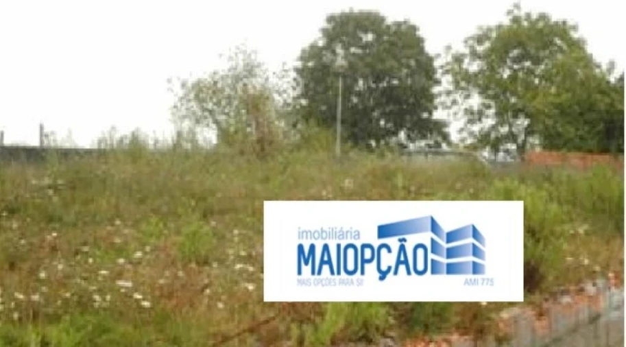 Terreno para Venda em Recardães e Espinhel