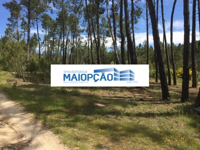 Terreno para Venda em Trancoso (São Pedro e Santa Maria) e Souto Maior Foto 1