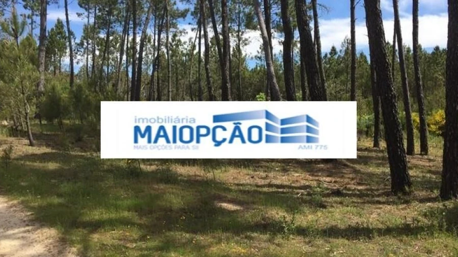 Terreno para Venda em Trancoso (São Pedro e Santa Maria) e Souto Maior