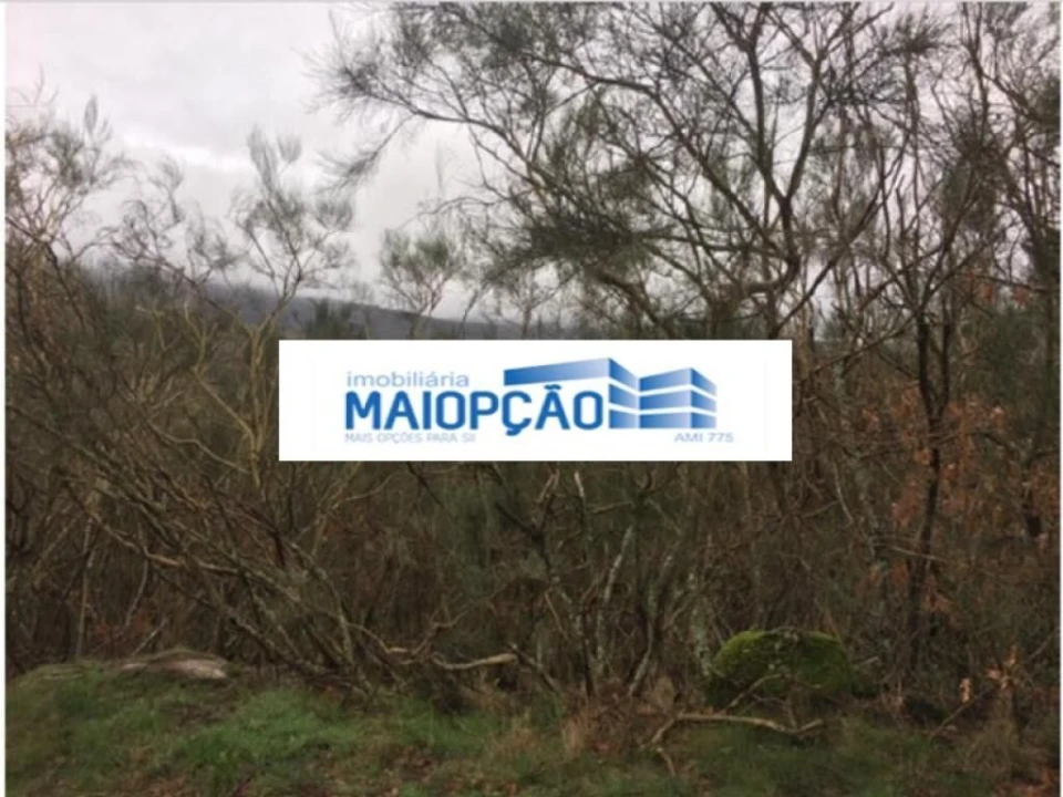 Terreno para Arrendamento em Ovadas e Panchorra Foto 2