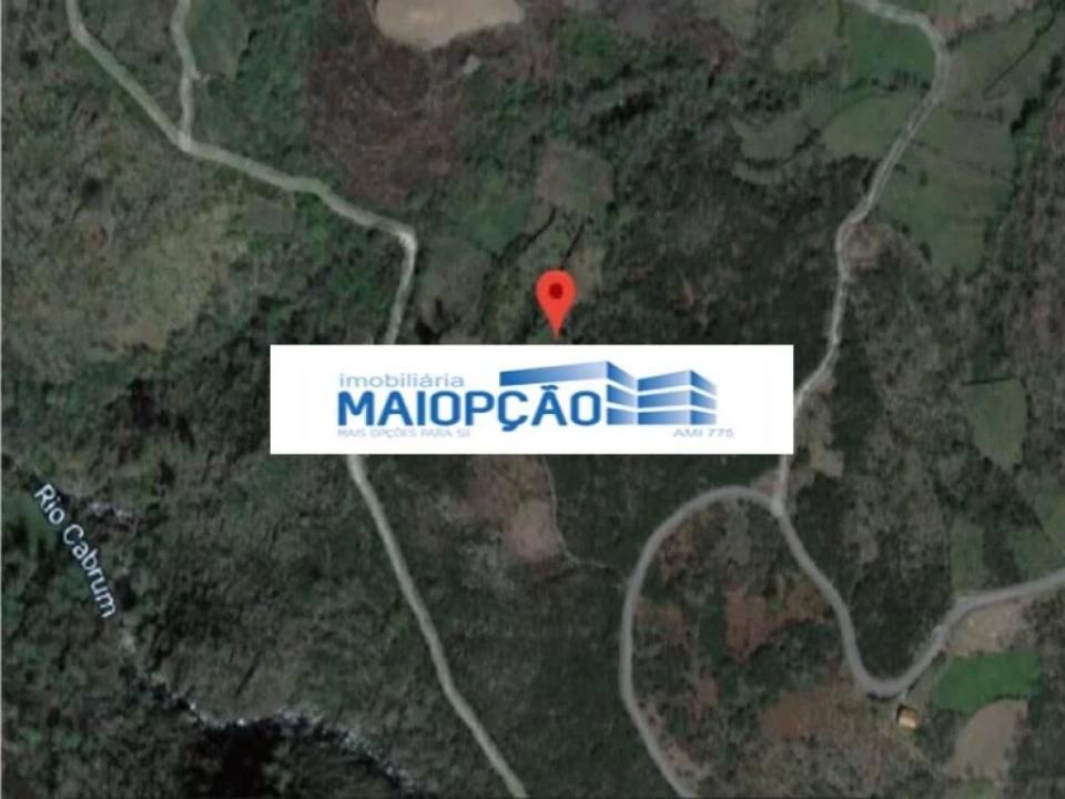 Terreno para Arrendamento em Ovadas e Panchorra Foto 3