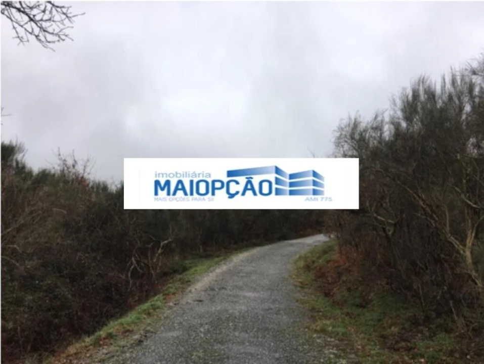 Terreno para Arrendamento em Ovadas e Panchorra Foto 4