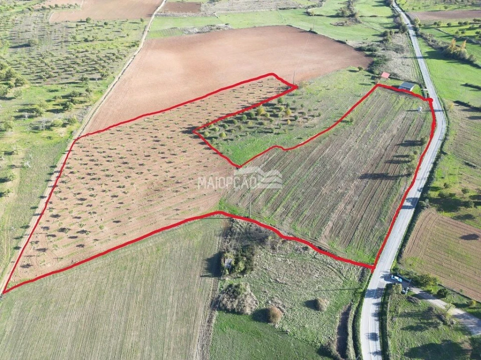 Terreno para Venda em Parada e Faílde Foto 1