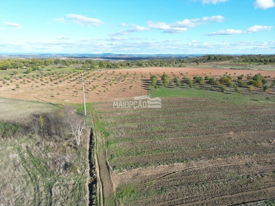 Terreno para Venda em Parada e Faílde Foto 4
