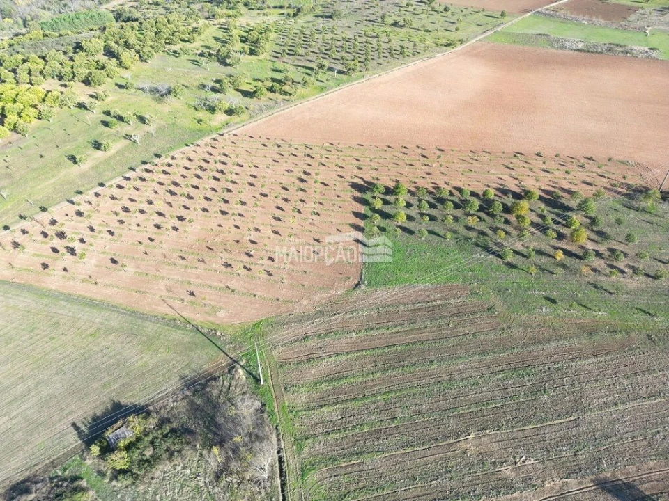 Terreno para Venda em Parada e Faílde Foto 5