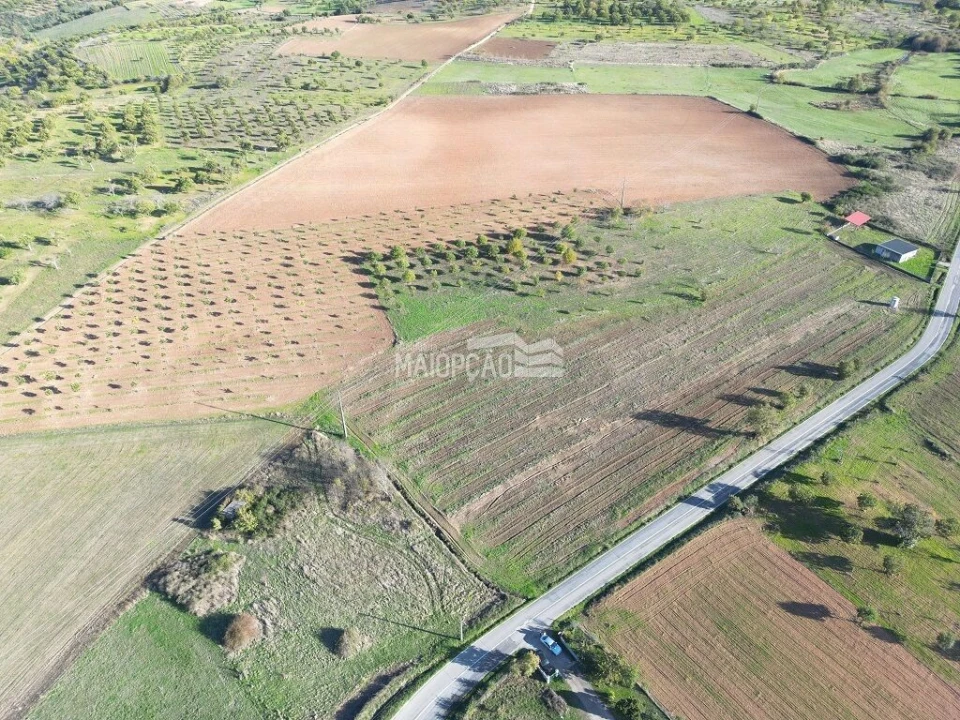 Terreno para Venda em Parada e Faílde Foto 7