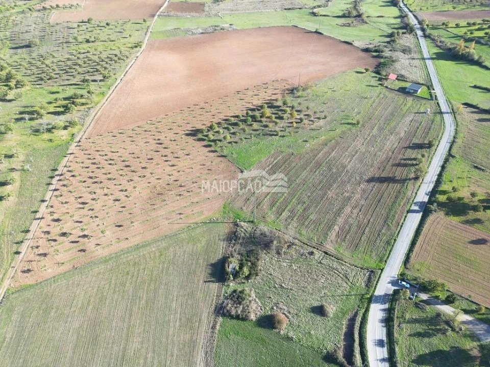 Terreno para Venda em Parada e Faílde Foto 8