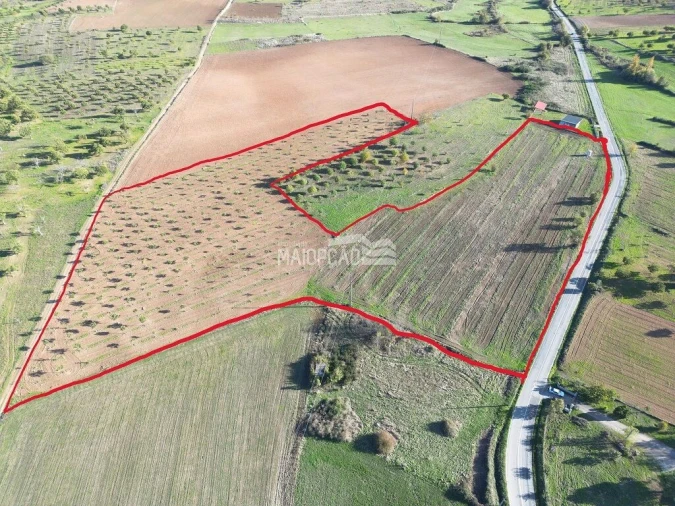 Terreno para Venda em Parada e Faílde