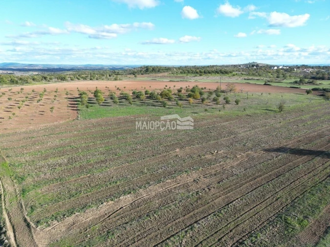 Terreno para Venda em Parada e Faílde Foto 2