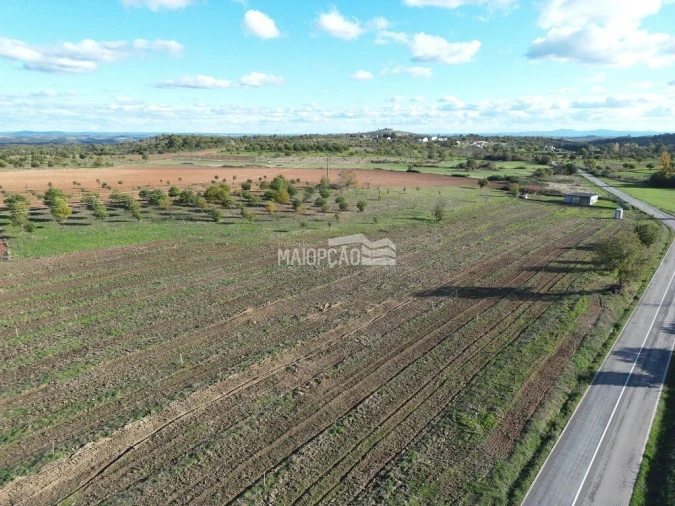 Terreno para Venda em Parada e Faílde Foto 3