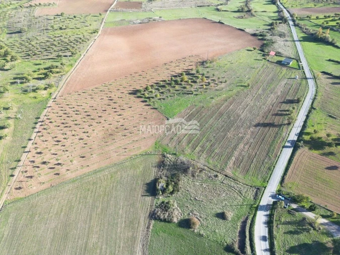 Terreno para Venda em Parada e Faílde Foto 8