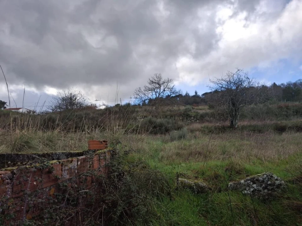 Quinta T0 para Venda em Trancoso (São Pedro e Santa Maria) e Souto Maior Foto 2